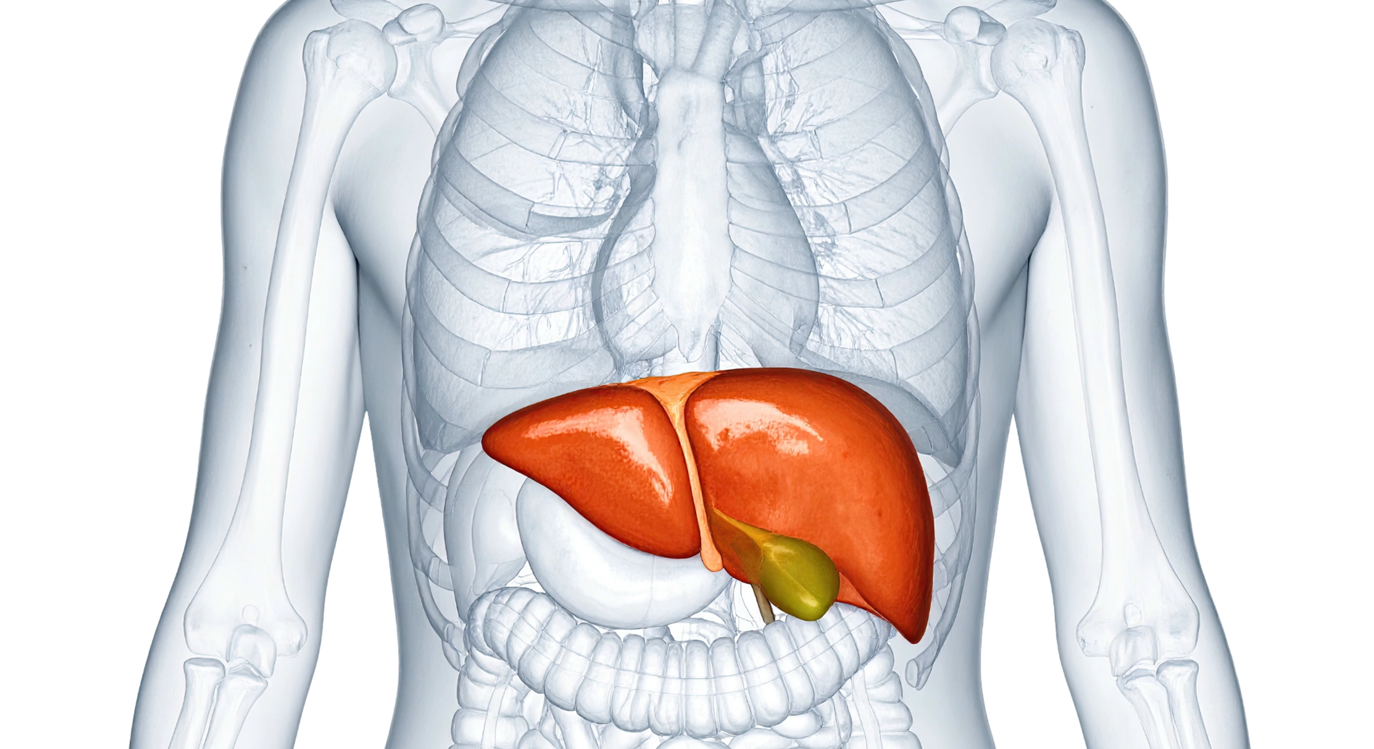 Metabolic Liver Disease