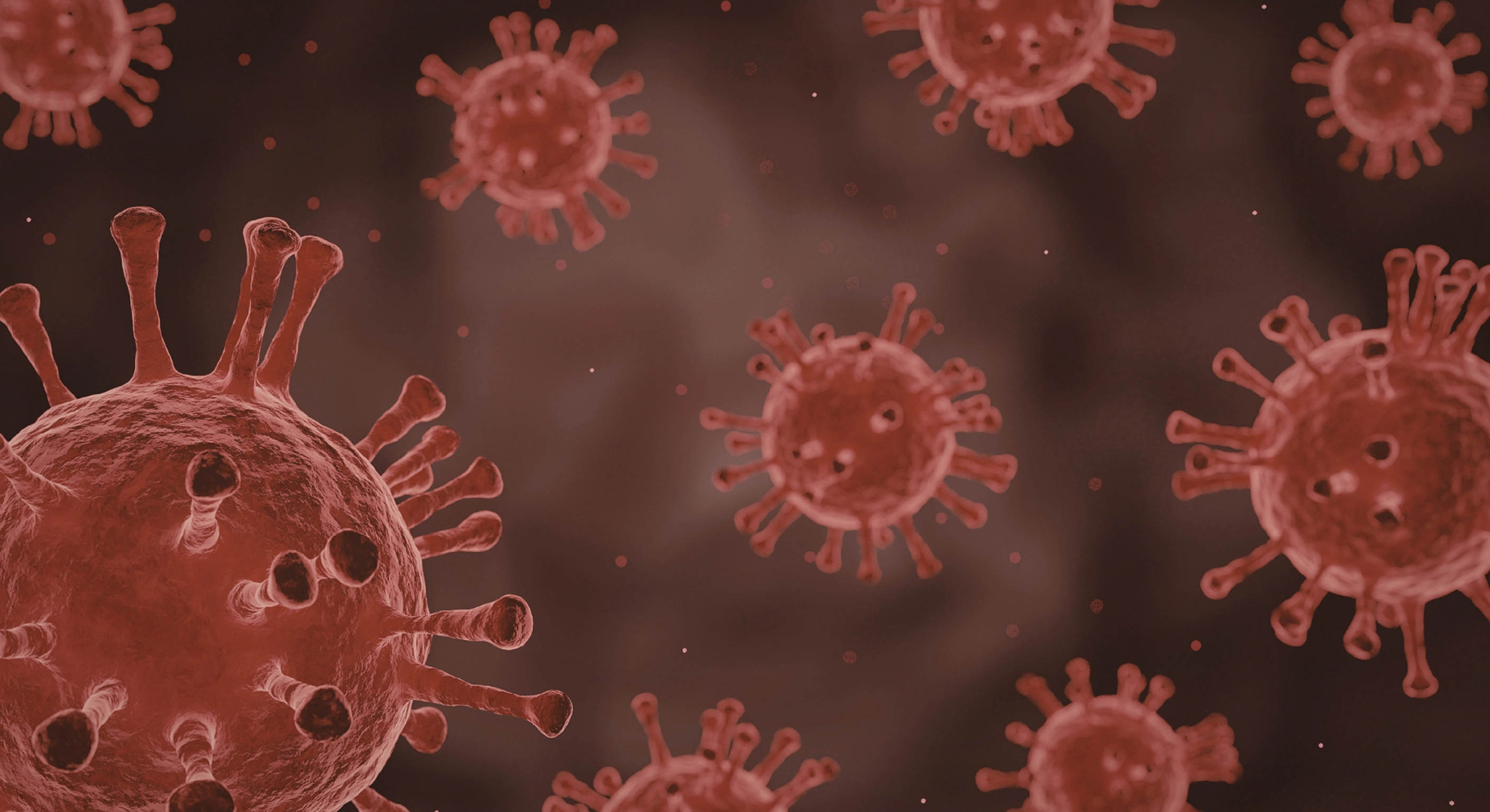 Viral Hepatic Disease